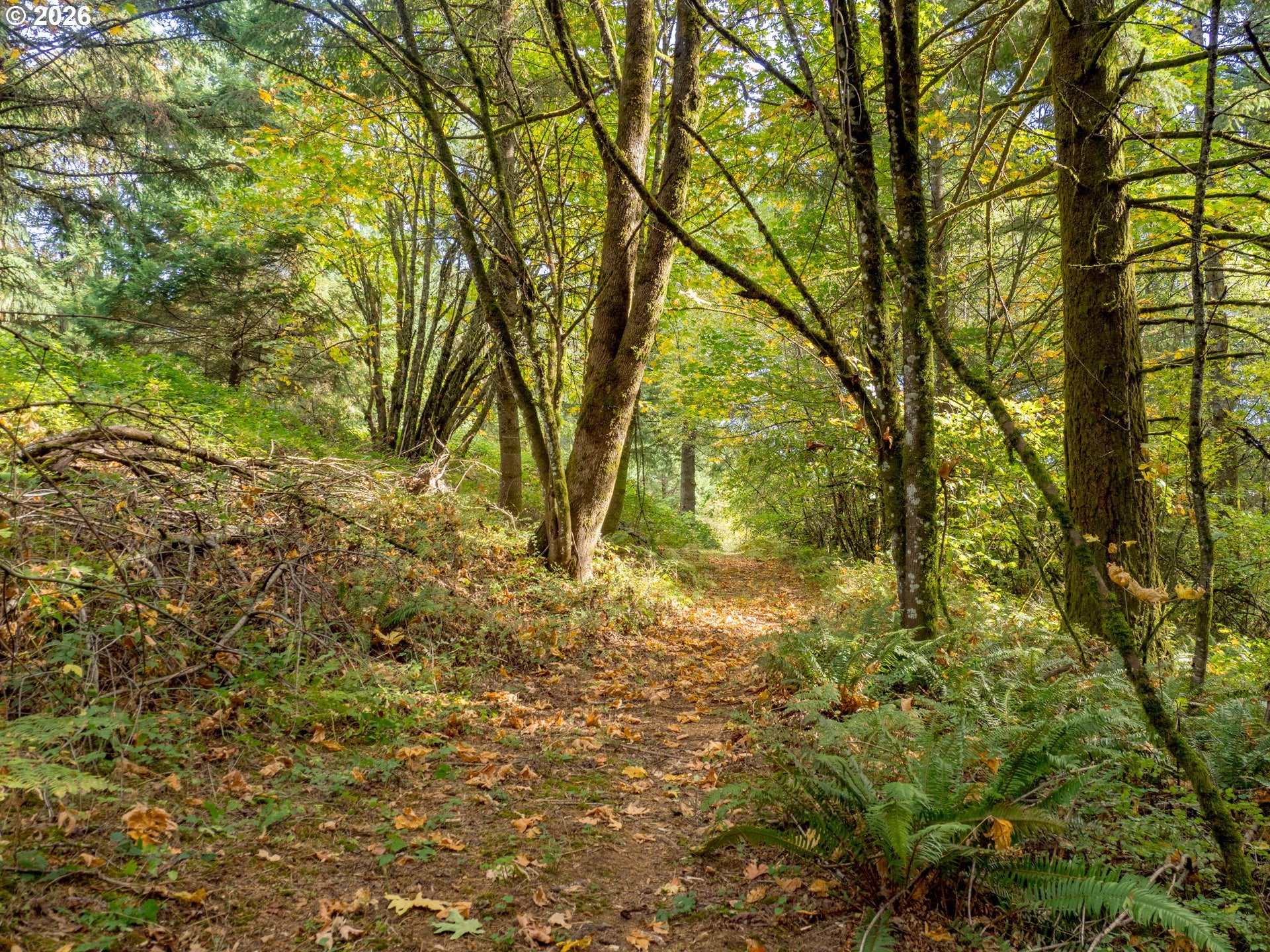0 NE Slope LN