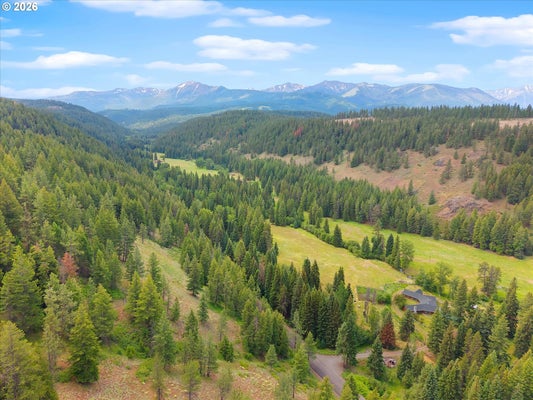 61608 WALLOWA MOUNTIAN LOOP, JOSEPH, OR 97846 - Image 54f60e8c7a4dd0c97ef2dcfec36b84eb/3643870164