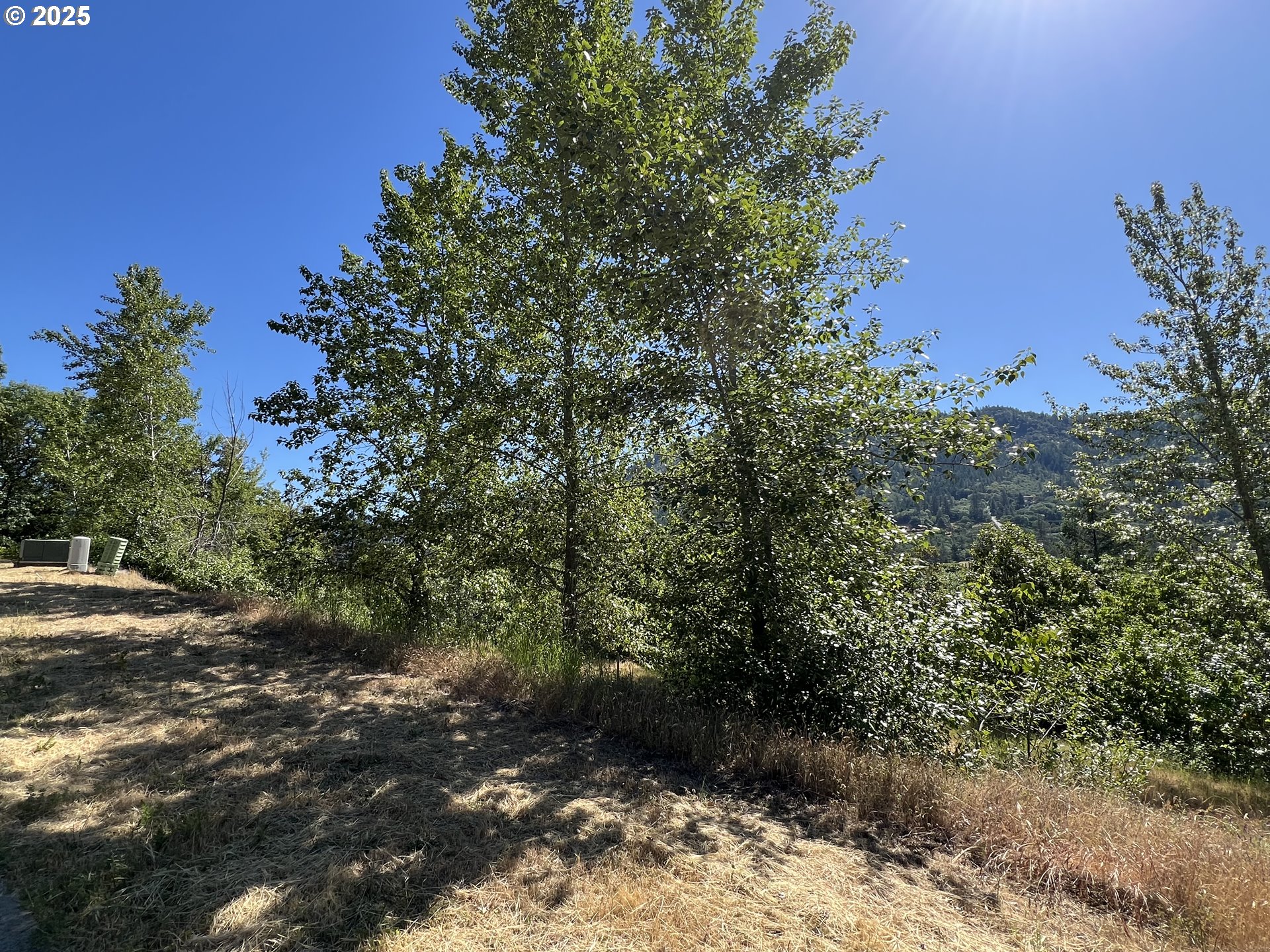 1620 PANORAMIC LOOP