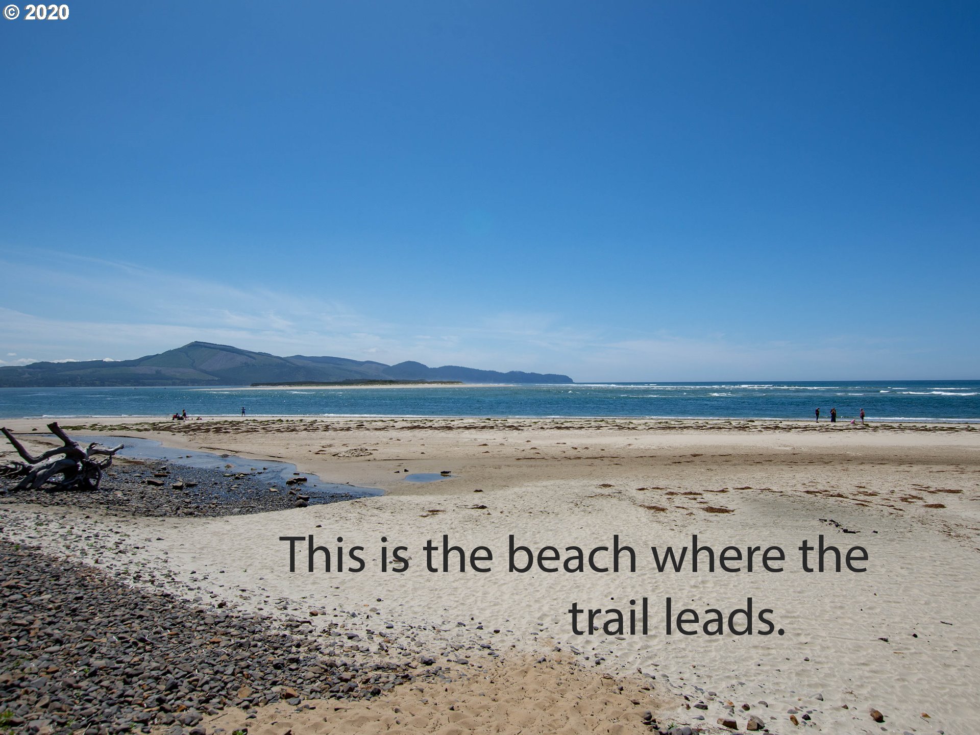 Oceanside, Oregon 97134, United States, ,Land,Active,66979