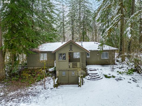 A home in Rhododendron