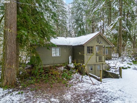 A home in Rhododendron