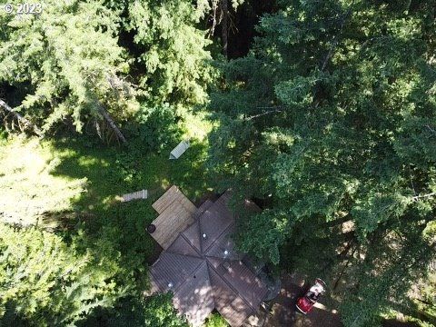 A home in Rhododendron