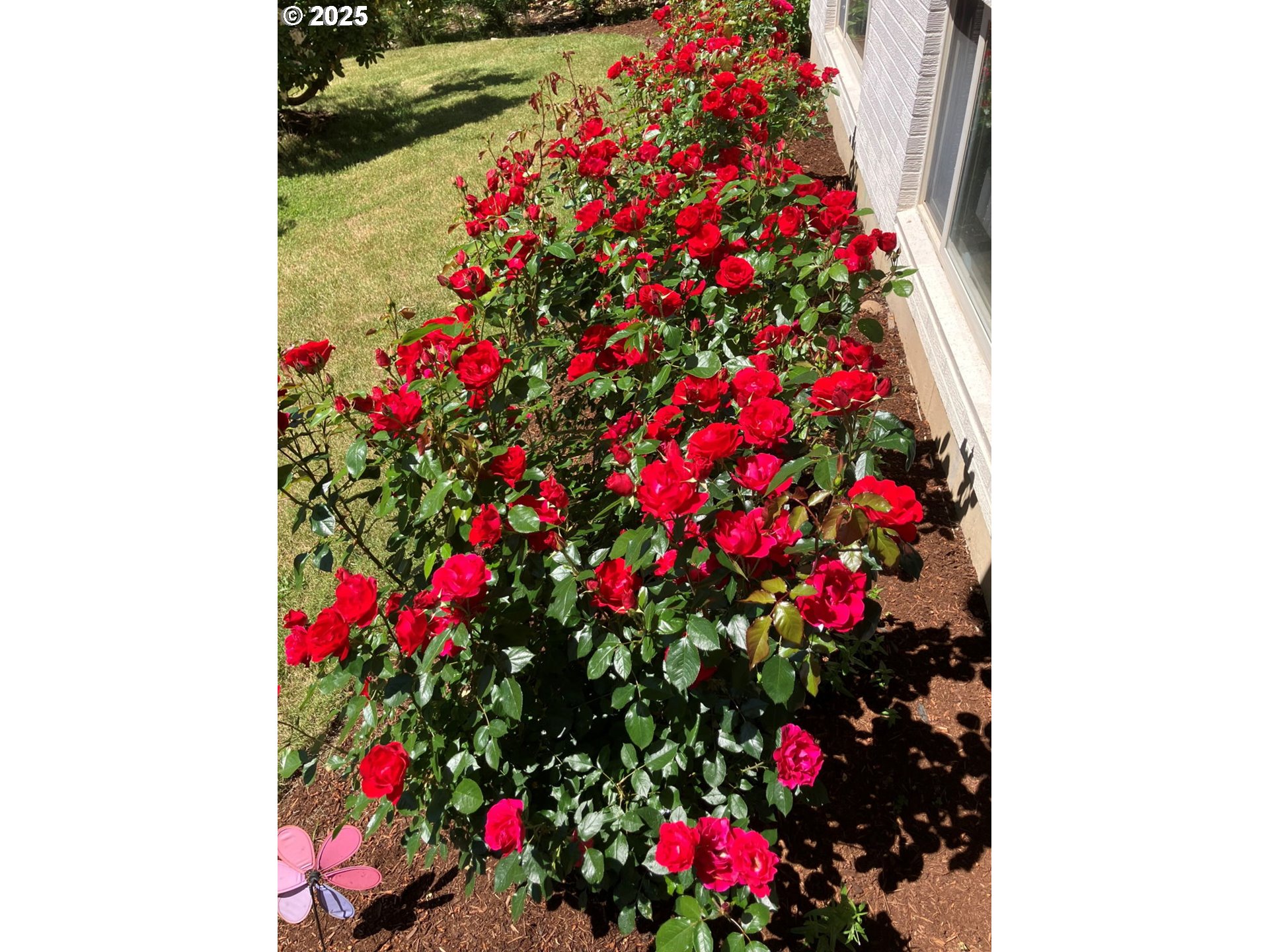 Gladstone, Oregon 97027, United States, 5 Bedrooms Bedrooms, ,3 BathroomsBathrooms,Residential,Active,97293