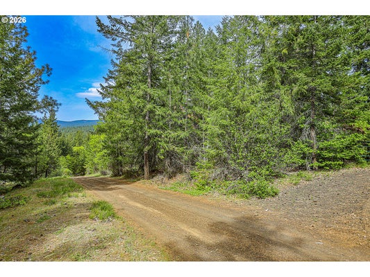 GOLDENDALE HWY, ROOSEVELT, WA 99356 - Image 571d54fee93e1b8d2d90e2746ec5db75/38234104