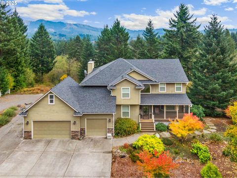 7311 NE 317TH PL Camas WA 98607