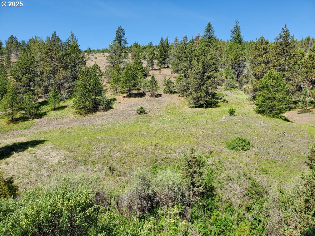 WILEY CREEK ROAD