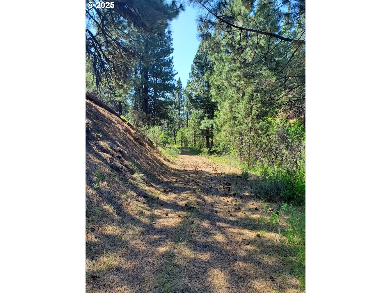 WILEY CREEK ROAD