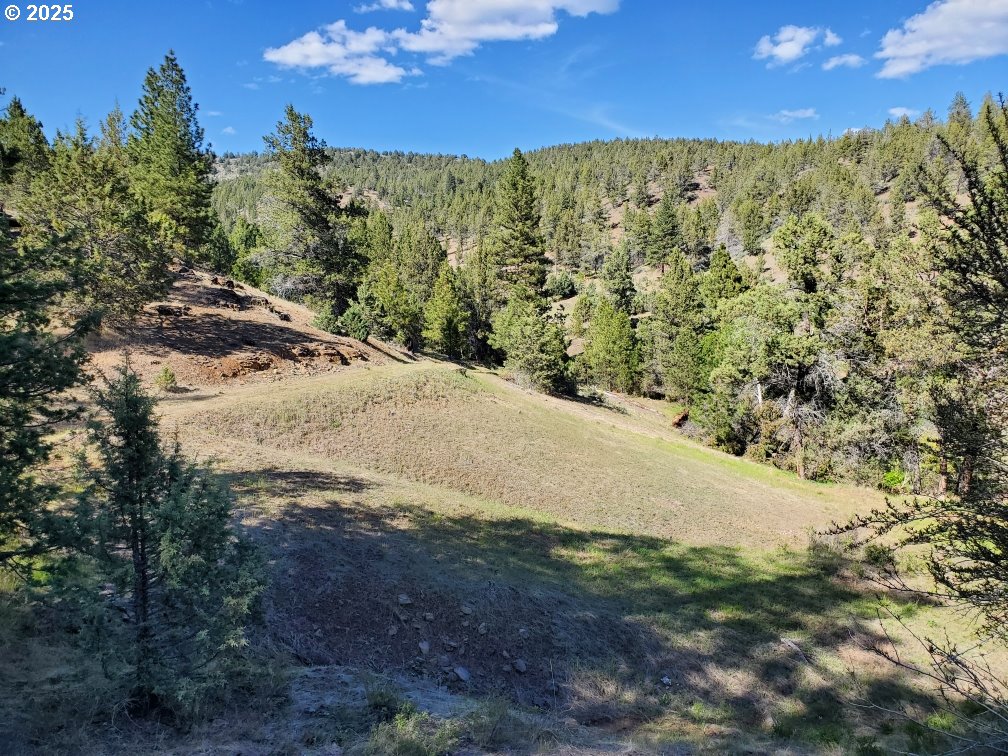WILEY CREEK ROAD