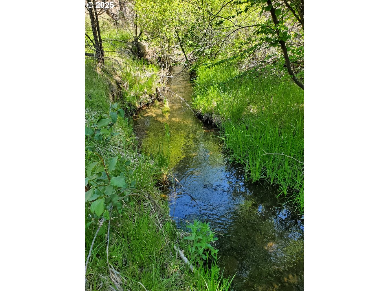 WILEY CREEK ROAD