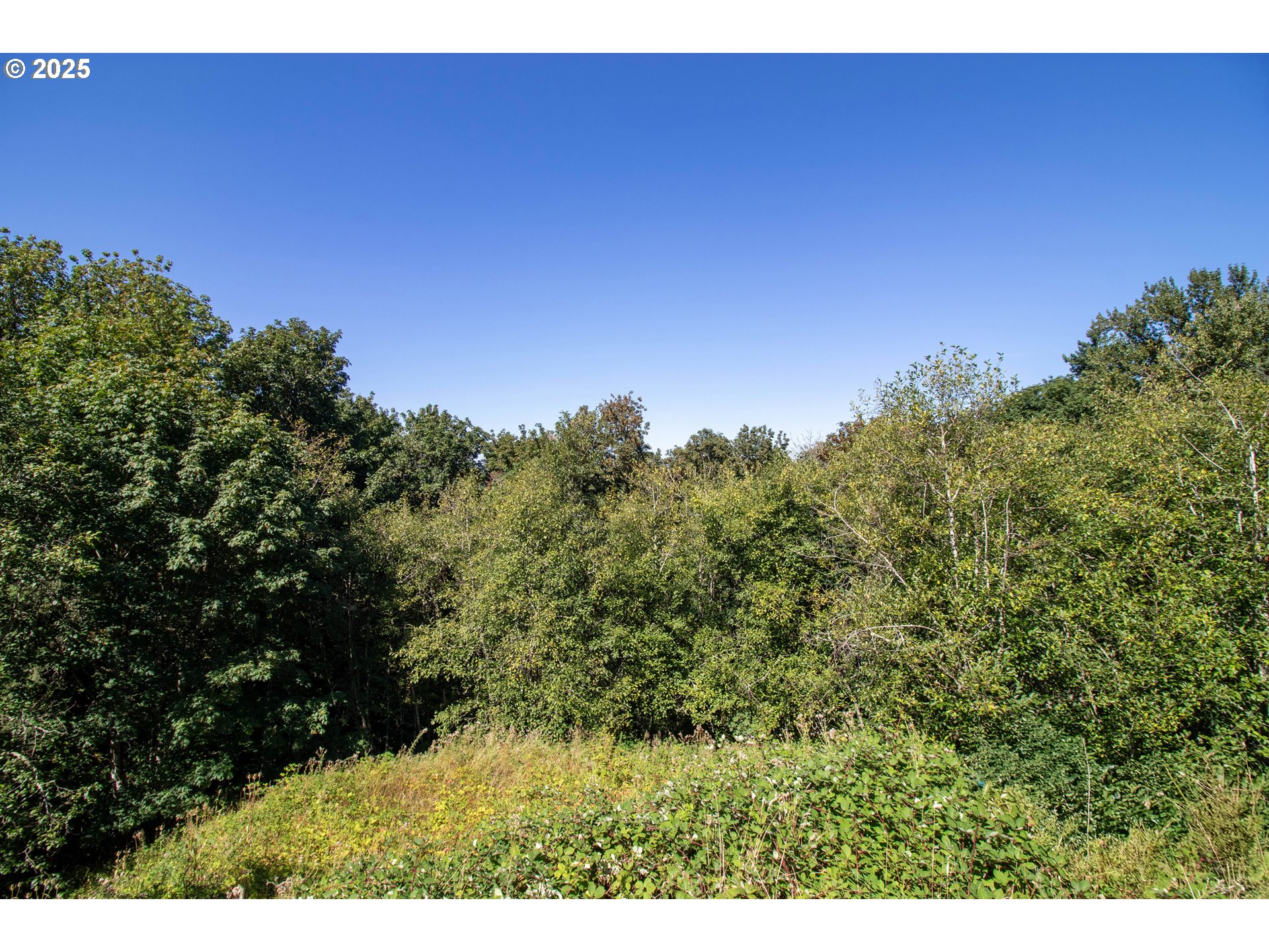 8049 NW PROMINENCE CT