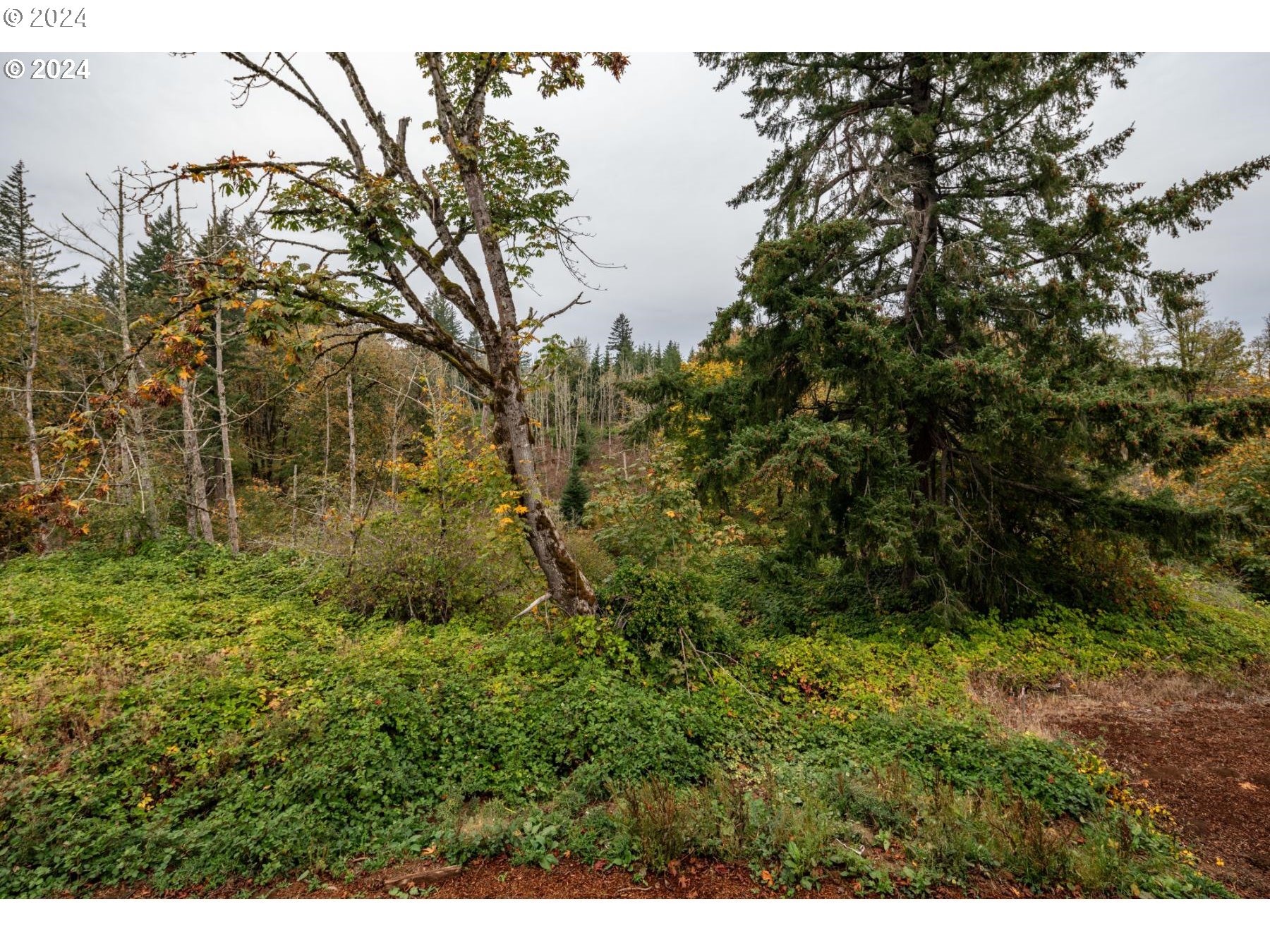 Gresham, Oregon 97080, United States, 5 Bedrooms Bedrooms, ,4 BathroomsBathrooms,Residential,Pending,28001