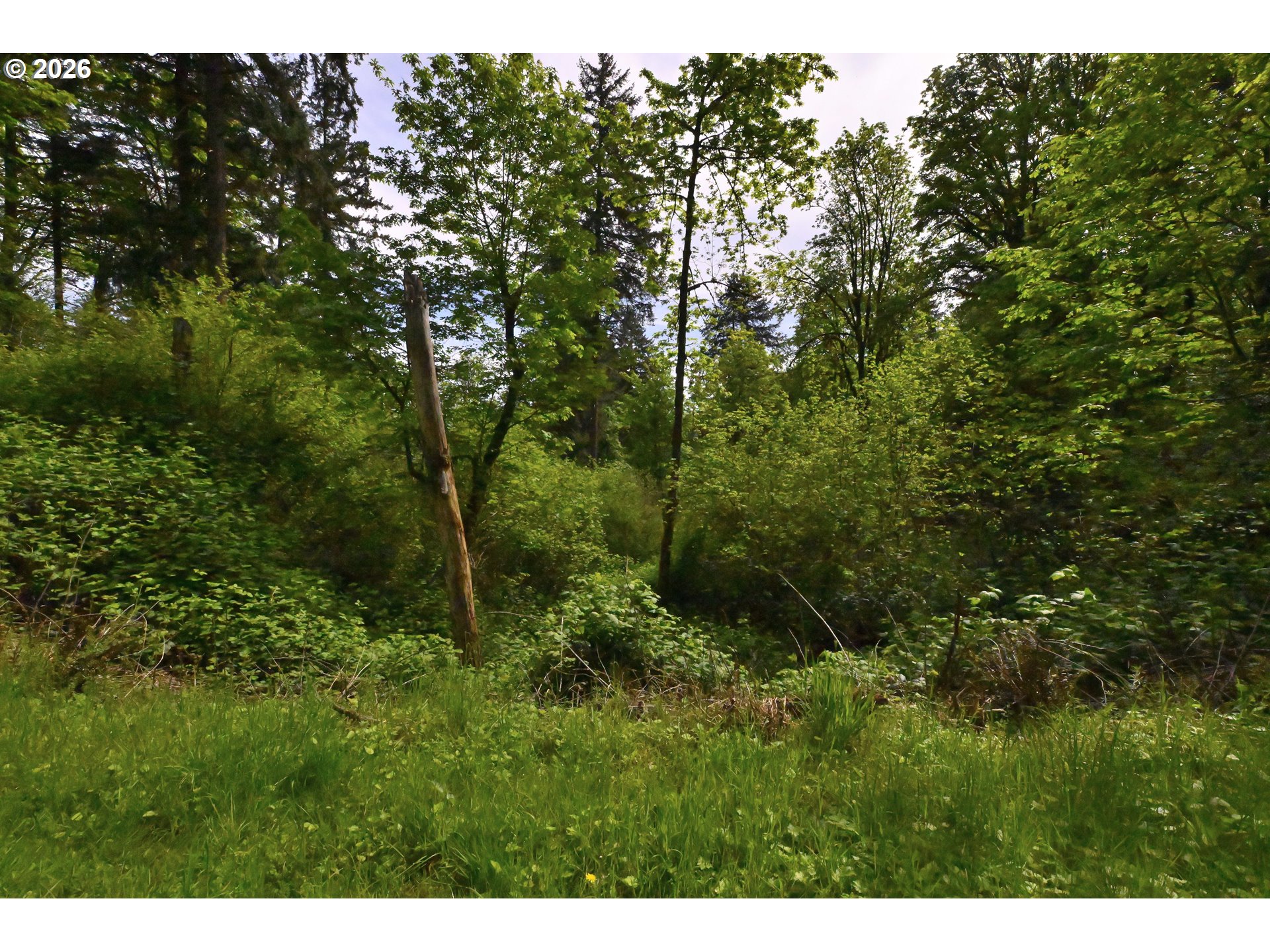 0 SE Maple Hill LN