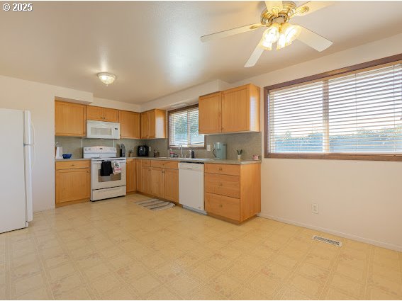 1562 RIVER ROCK DR