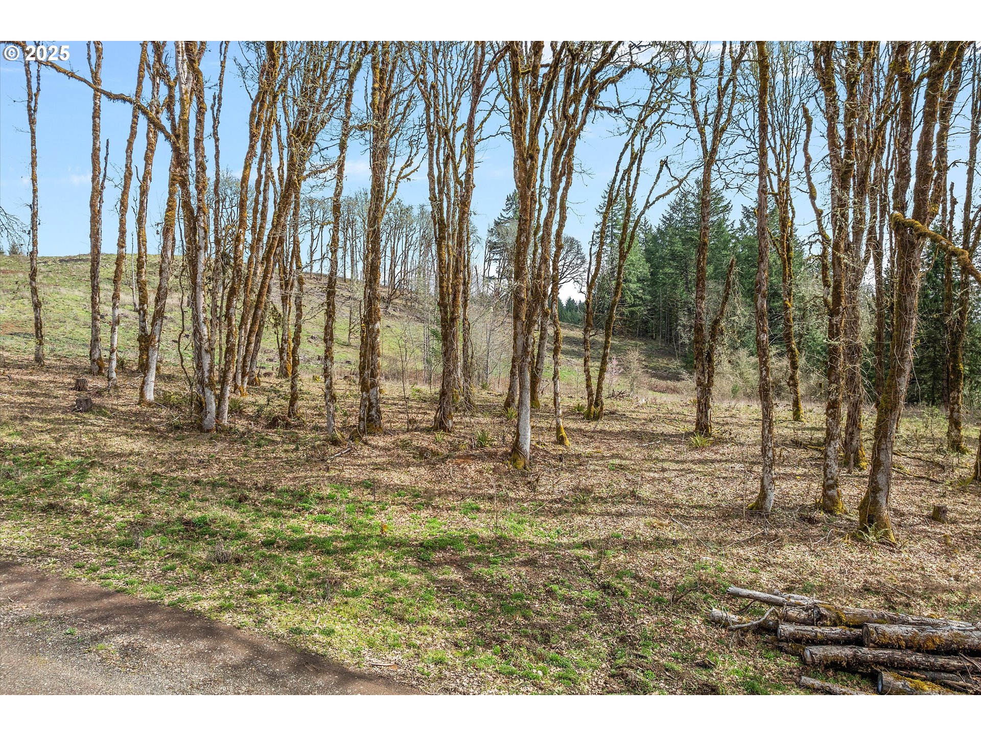 McMinnville, Oregon 97128, United States, ,Land,Active,96332