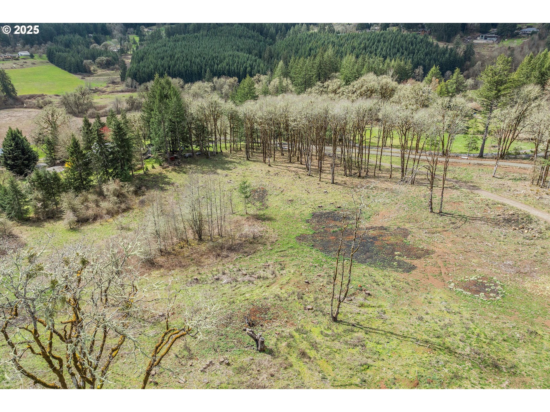 McMinnville, Oregon 97128, United States, ,Land,Active,96332