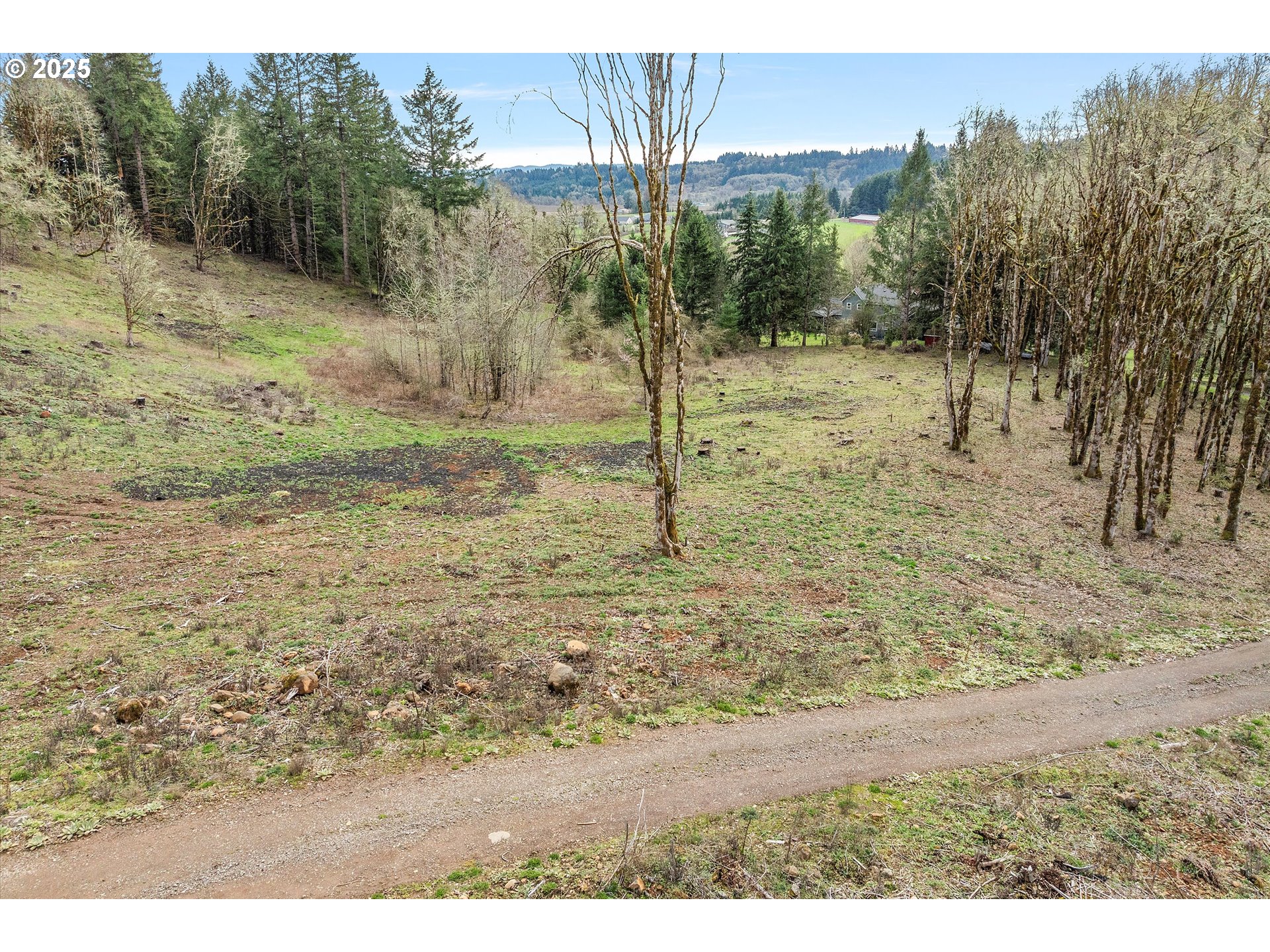 McMinnville, Oregon 97128, United States, ,Land,Active,96332