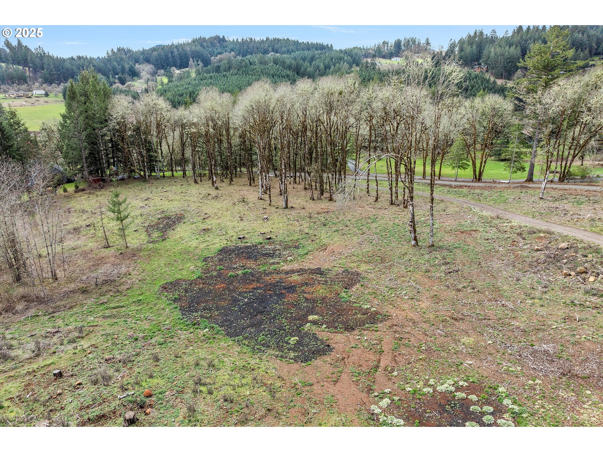 McMinnville, Oregon 97128, United States, ,Land,Active,96332