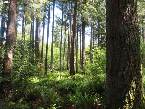 5033 Polehn RD SW Rochester WA 98579