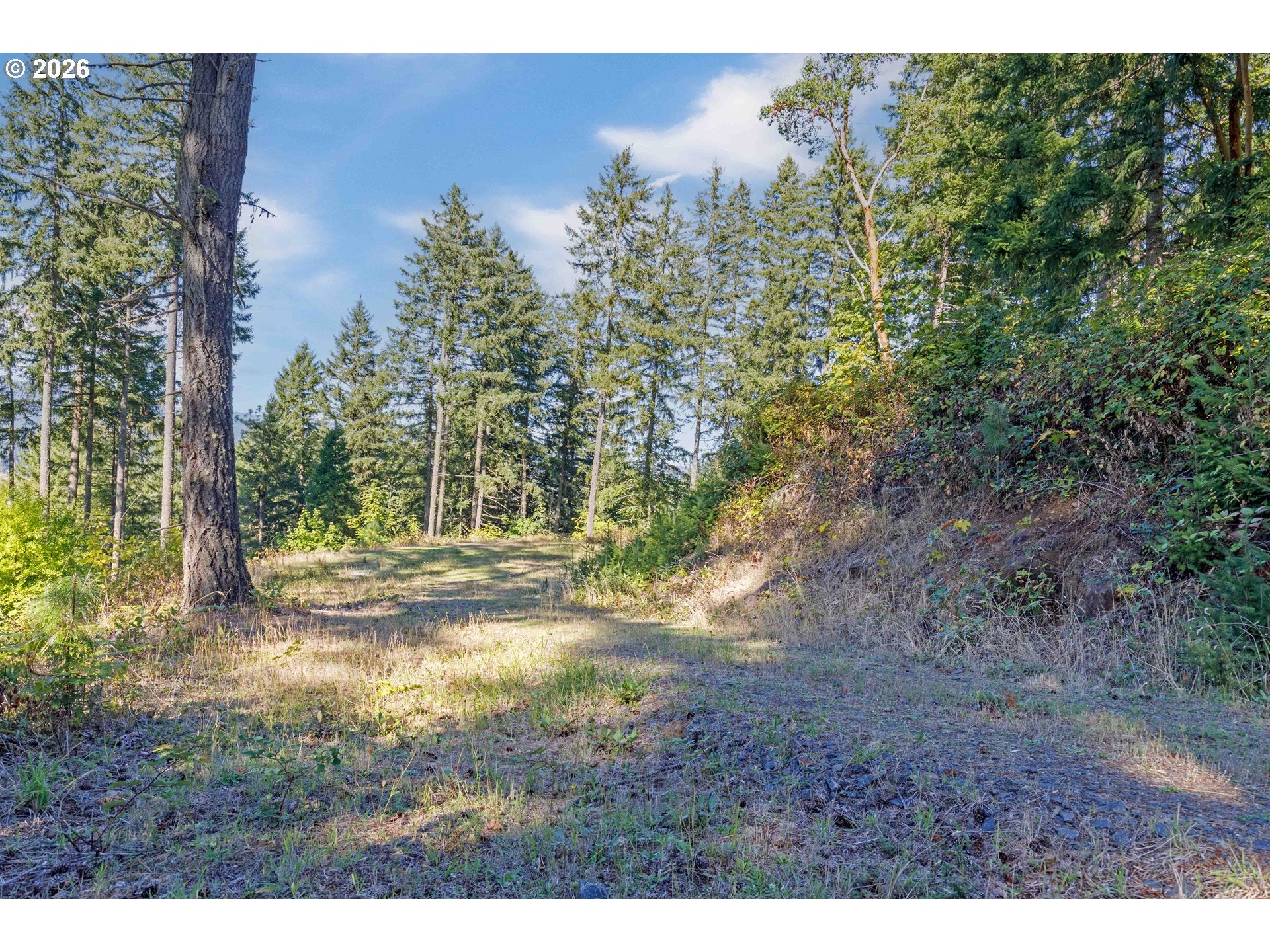 Alder Branch 216