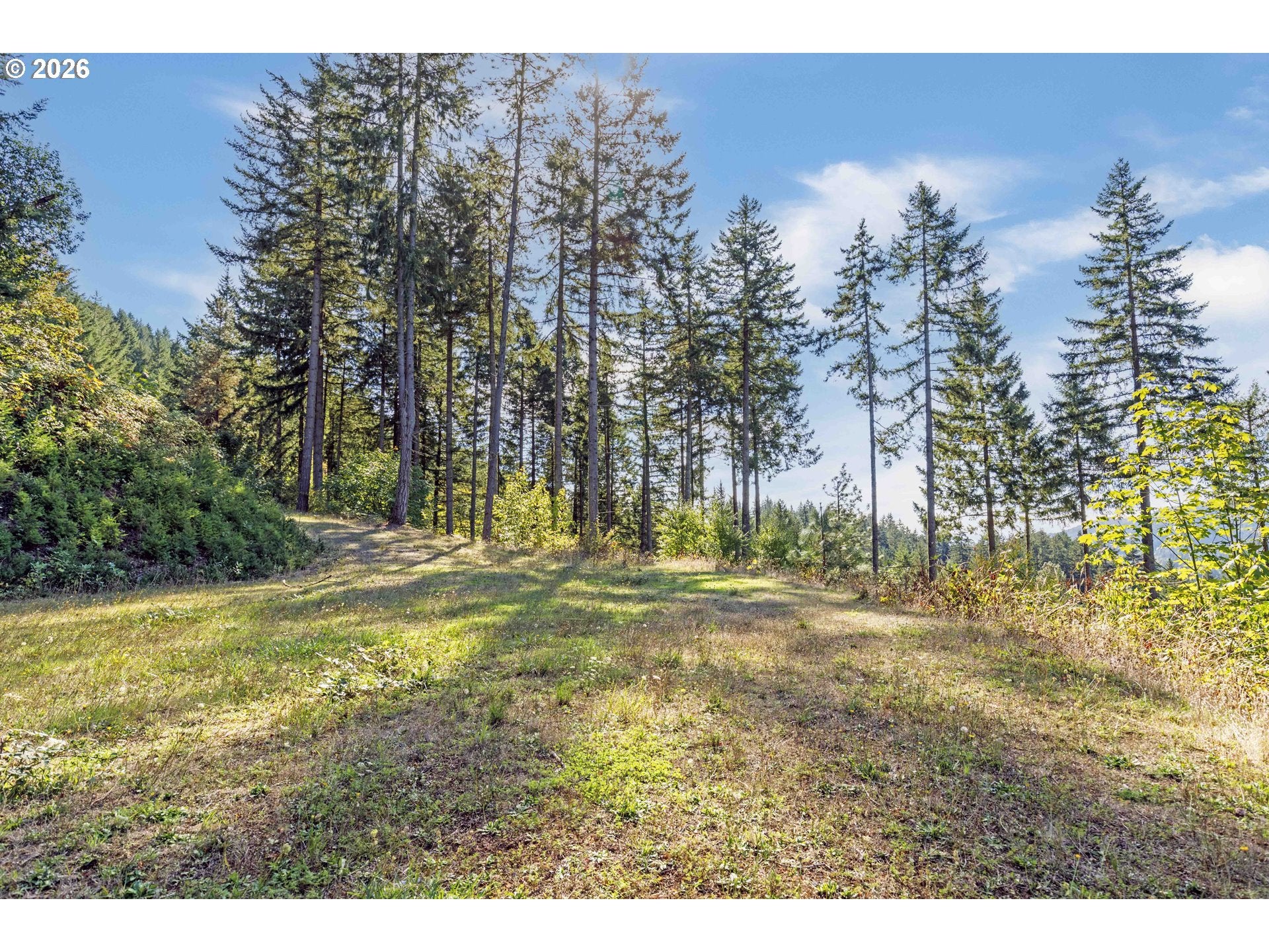Alder Branch 216