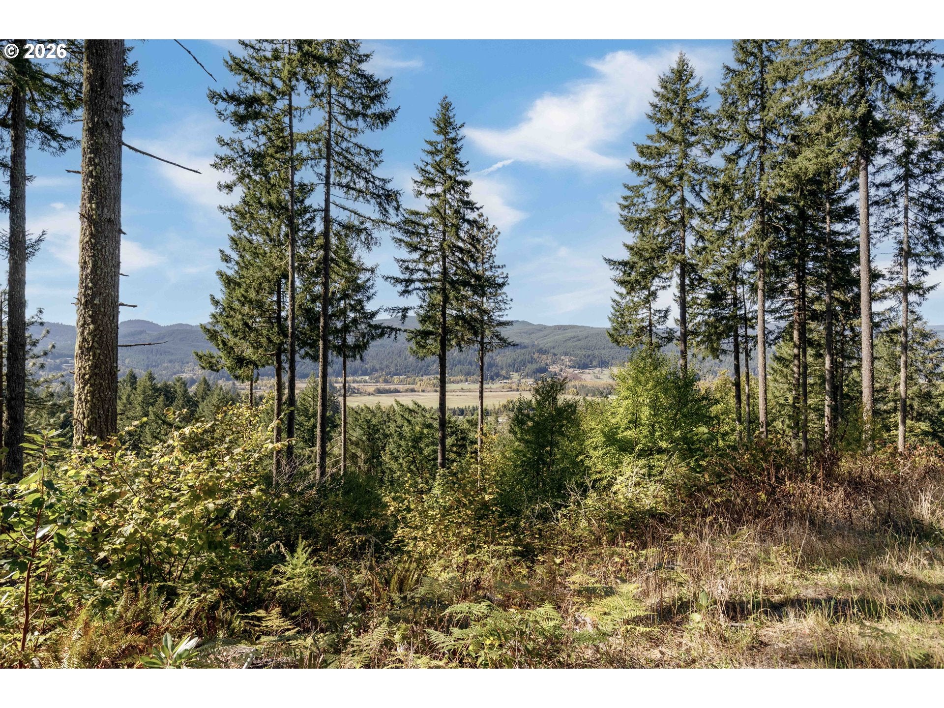 Alder Branch 216