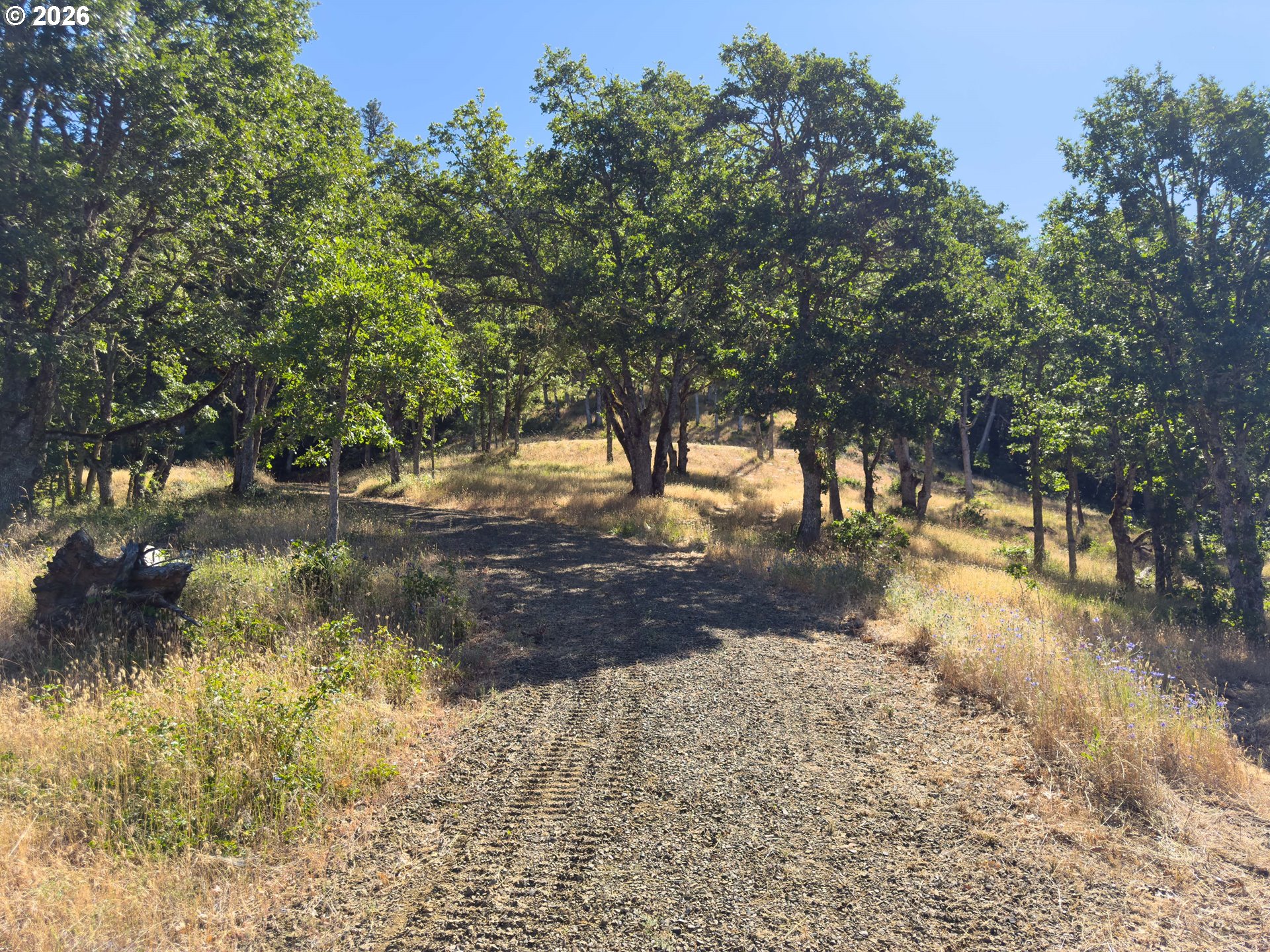 34 JEWETT CREEK LP RD