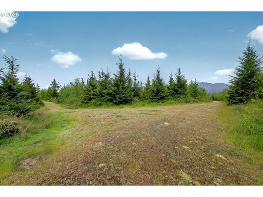 5 PARPALA RD # 5, NASELLE, WA 98638 - Image 5aec4b105ef8b8161dd5affc83b2ecc0/676813455