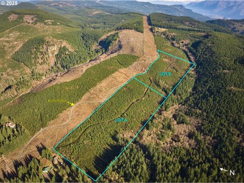 0 Kellett RD A Washougal WA 98671