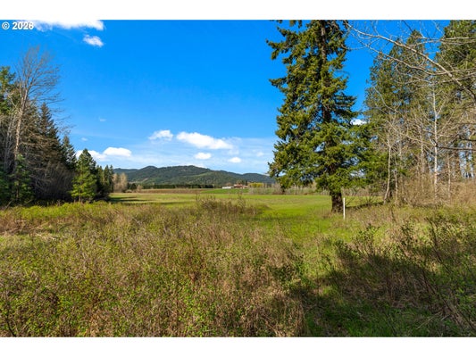 STOLLER RD, TROUT LAKE, WA 98650 - Image 5b46a568102e1ecc2b02497e7341caec/1157351000