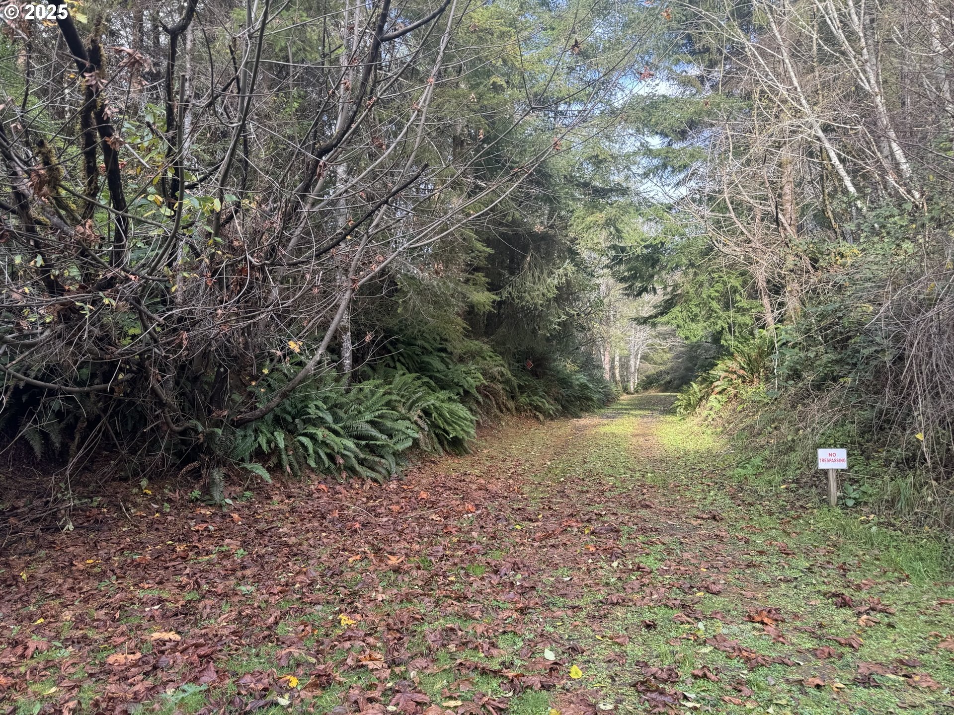 3 POTATO BOTTOM RD 604