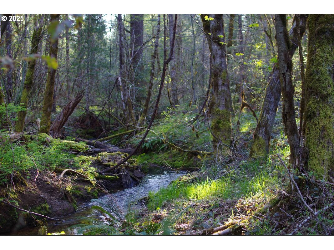 0 DAVIS CREEK RD