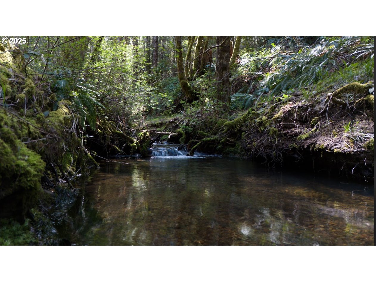 0 DAVIS CREEK RD