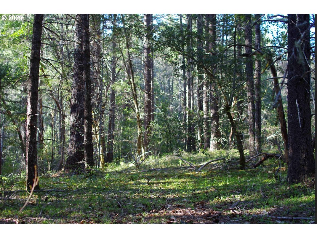 0 DAVIS CREEK RD