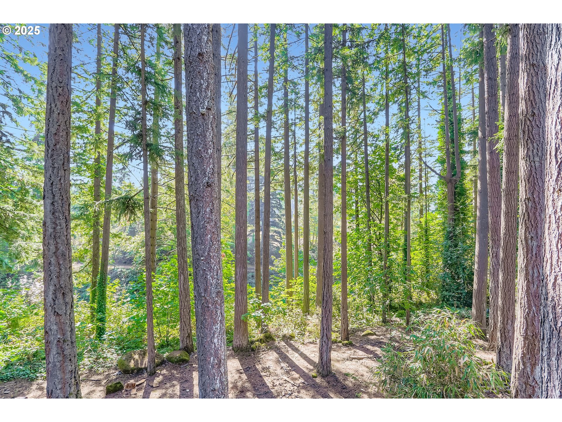 Oregon City, Oregon 97045, United States, 4 Bedrooms Bedrooms, ,4 BathroomsBathrooms,Residential,Active,215687