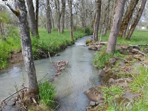 Bear Creek RD