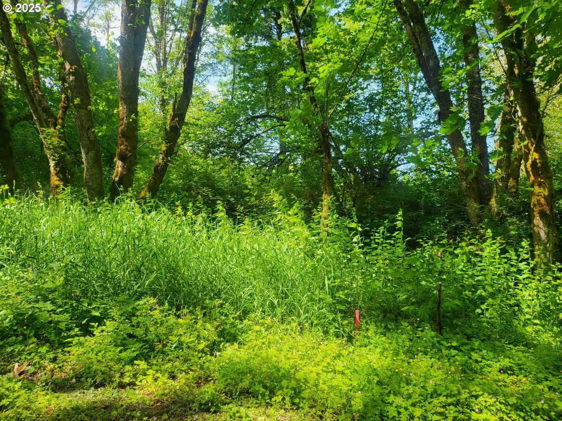 Lot 16-17 Bonneville DR