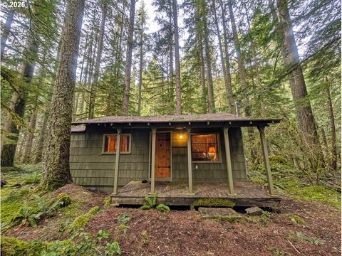 75106 E ROAD 28B Rhododendron OR 97049