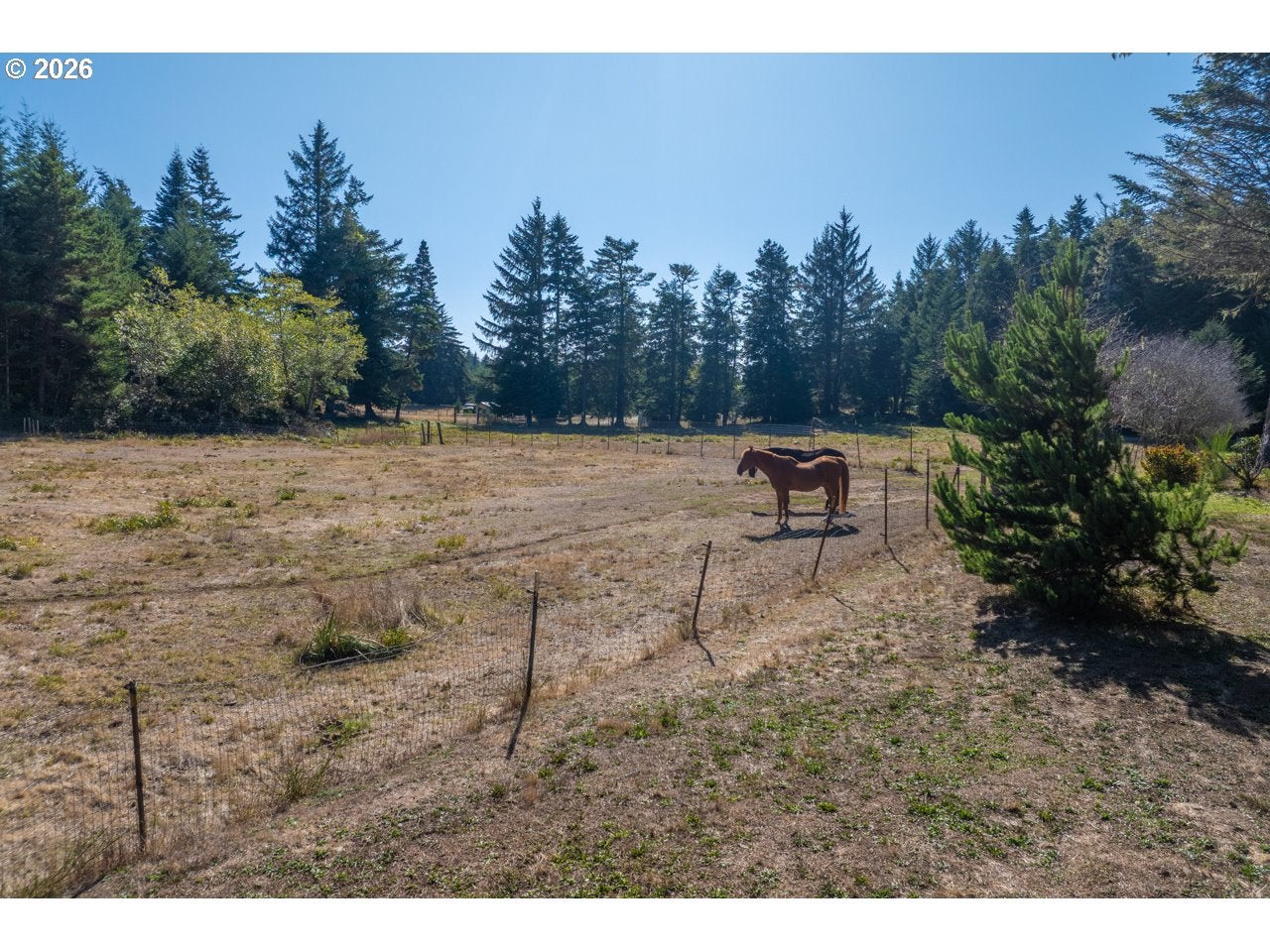 56008 SPRING CREEK RD