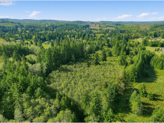 0 GEORGE HILL RD, ASTORIA, OR 97103 - Image 5cba3082d0dab52e48973cdccac37e01/167534560