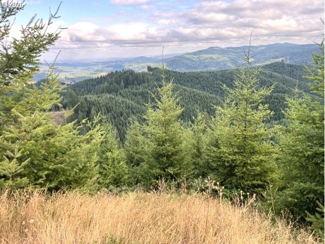 NorthForkGalesCreek