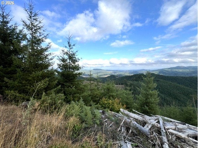 NorthForkGalesCreek
