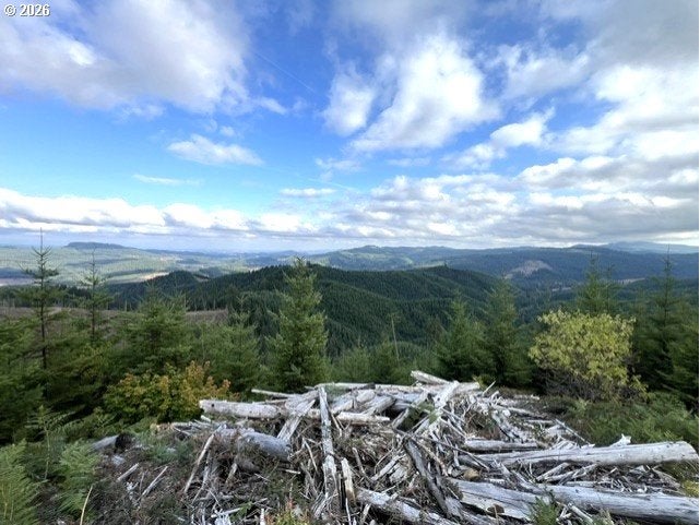 NorthForkGalesCreek