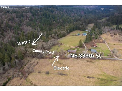 0 NE 339th ST La Center WA 98629