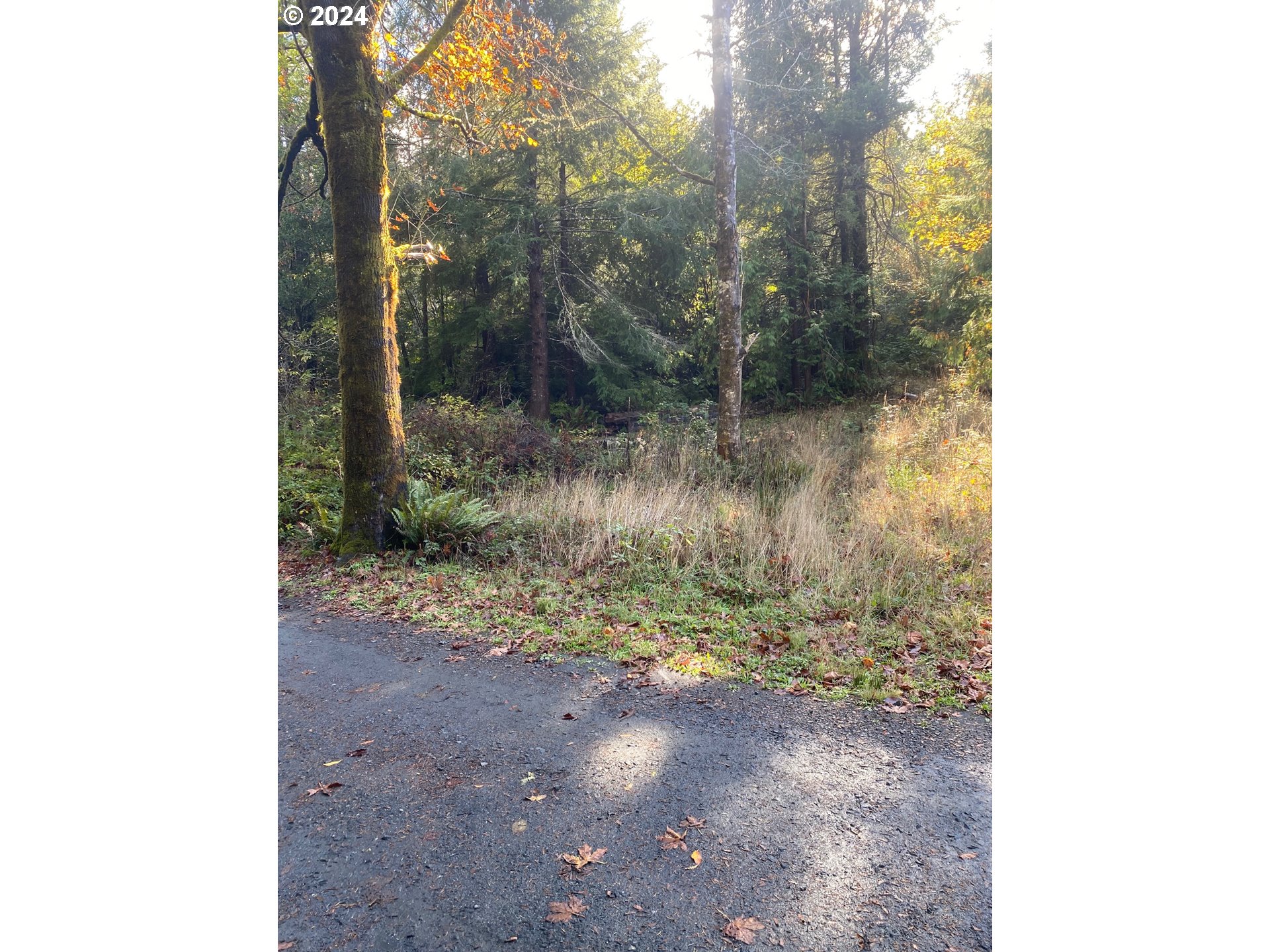 Pierson Rd