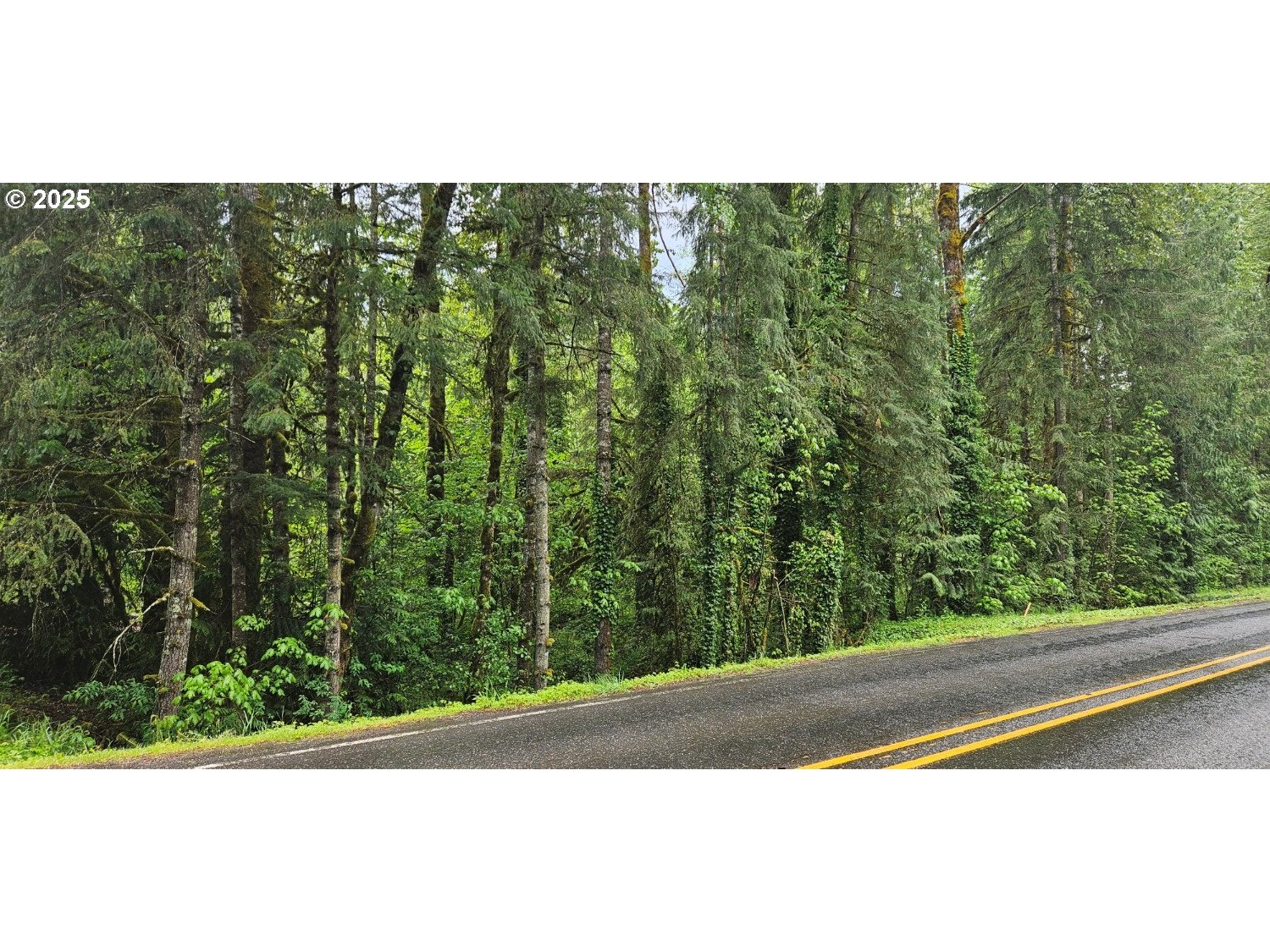 Rhododendron, Oregon 97049, United States, ,Land,Active,129209