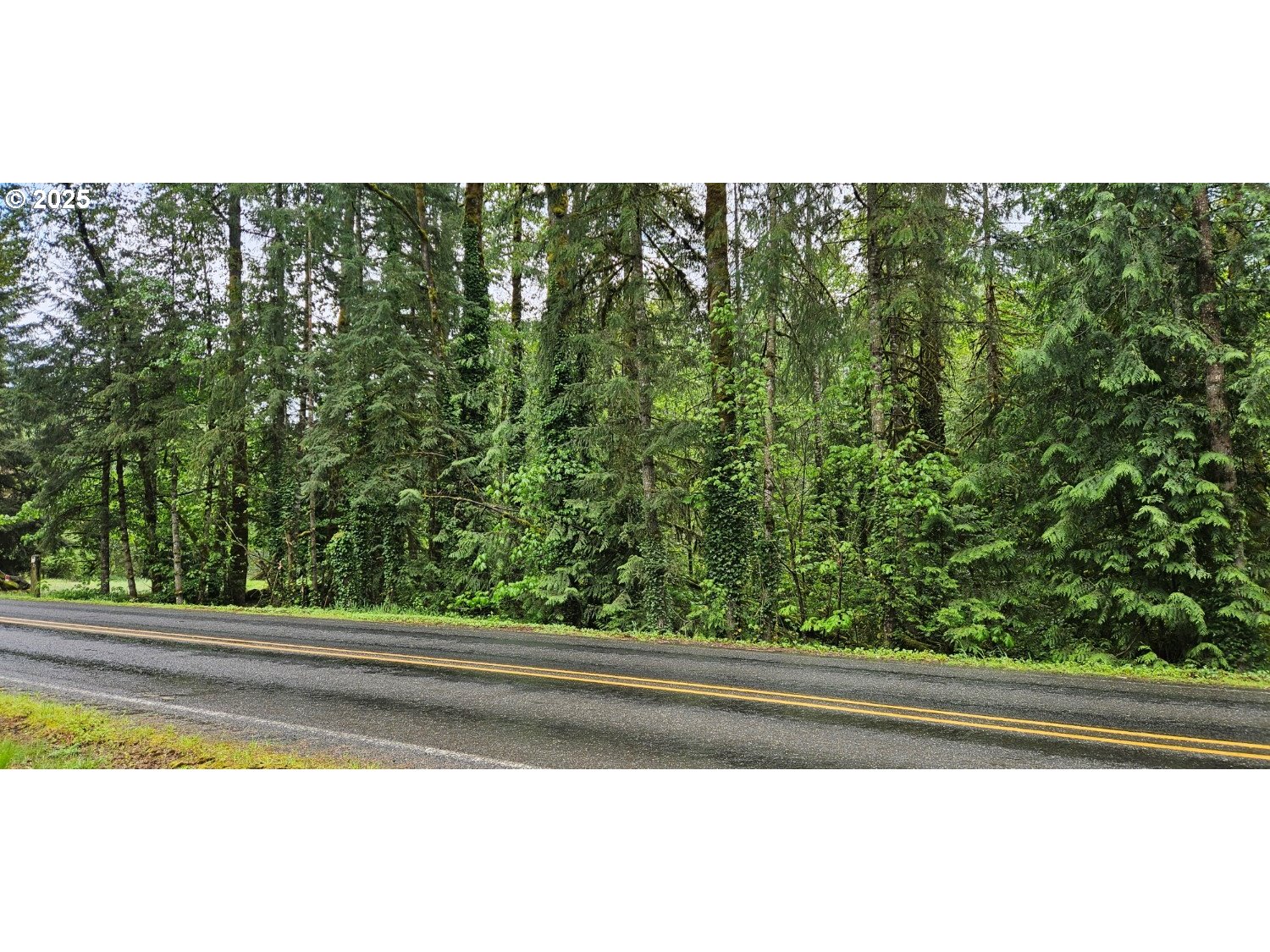 Rhododendron, Oregon 97049, United States, ,Land,Active,129209