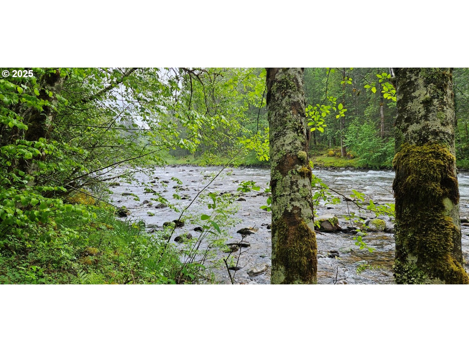 Rhododendron, Oregon 97049, United States, ,Land,Active,129209