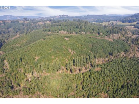 0 NE Cedar Mist RD Amboy WA 98601