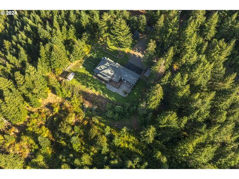 A home in Trout Lake